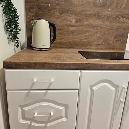 Charming Ground Floor Aprt In Old * Sofia