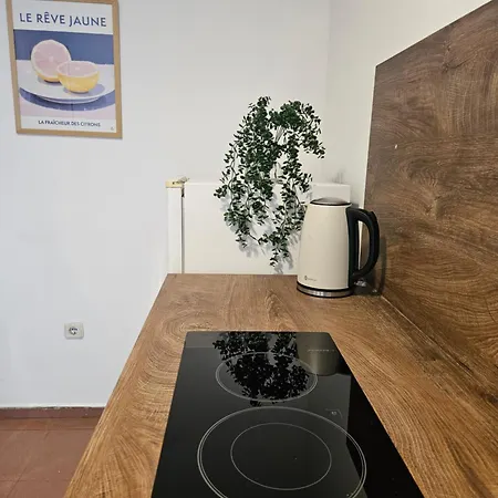 Charming Ground Floor Aprt In Old