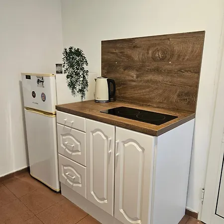 Charming Ground Floor Aprt In Old