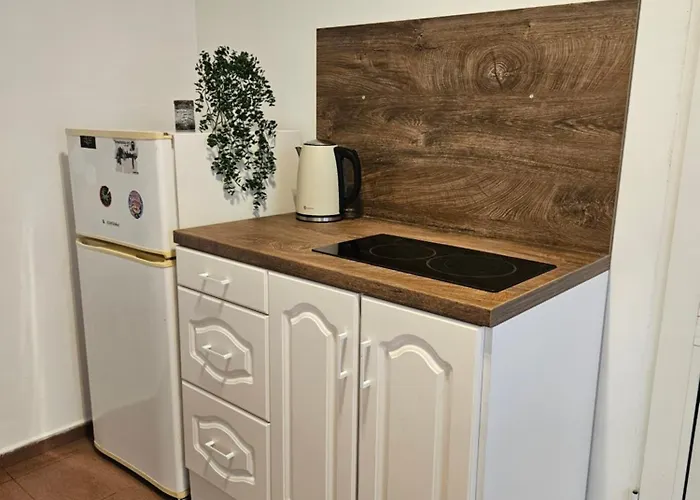 Charming Ground Floor Aprt In Old