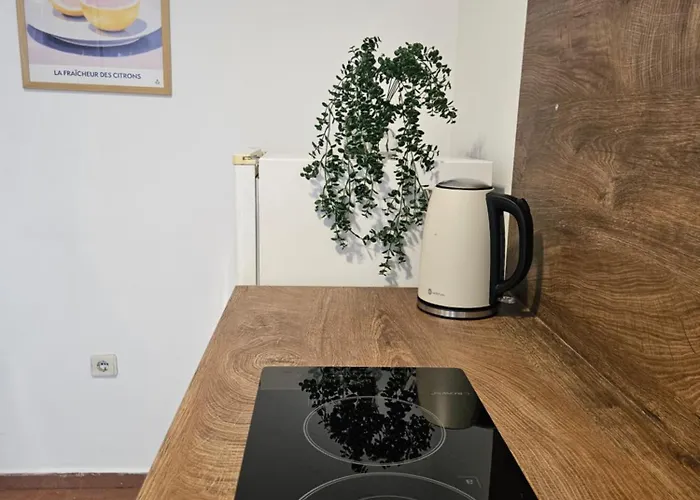 Charming Ground Floor Aprt In Old