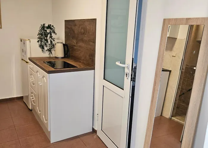 Charming Ground Floor Aprt In Old Apartment *